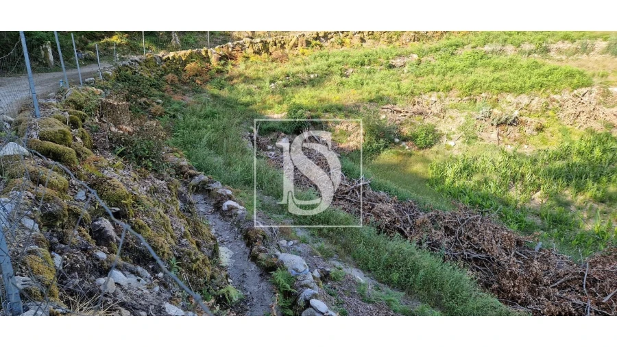 Terreno para Venda em Ruivães e Campos Foto 7