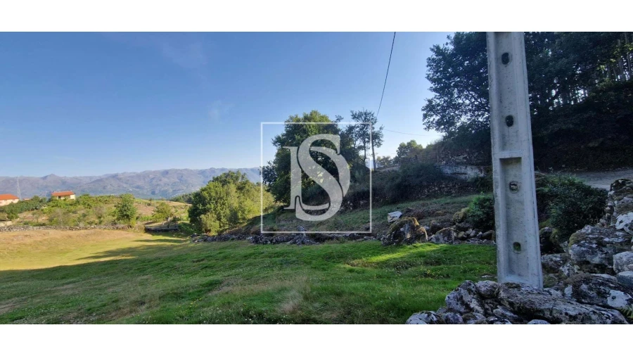 Terreno para Venda em Ruivães e Campos Foto 13