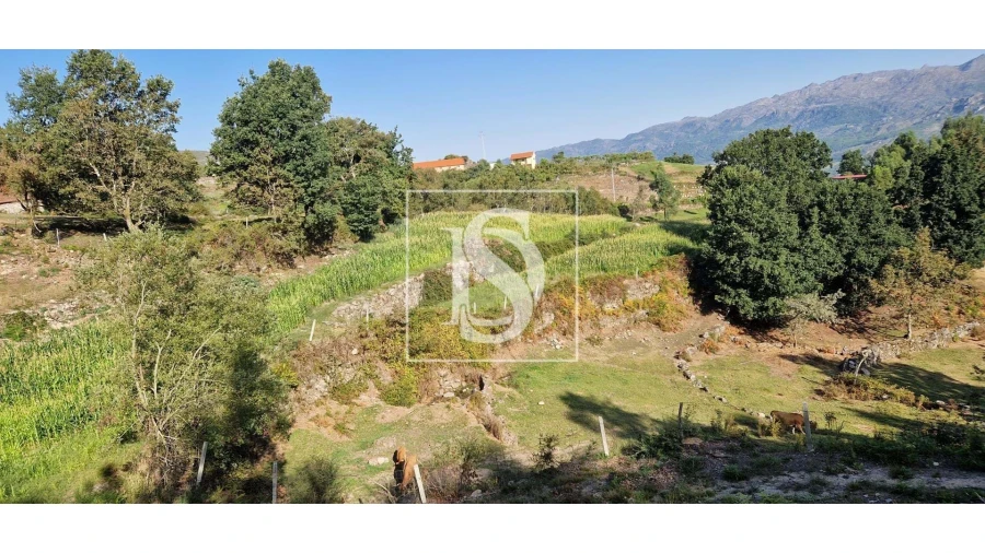 Terreno para Venda em Ruivães e Campos Foto 5