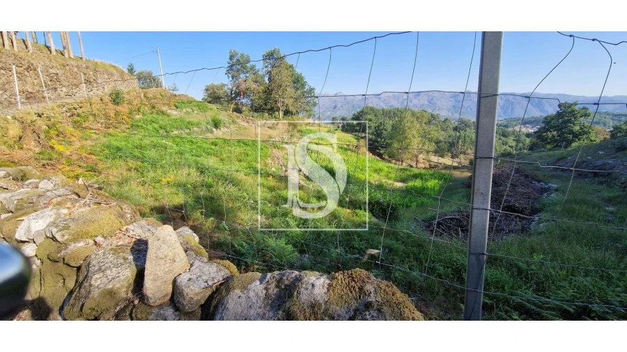 Terreno para Venda em Ruivães e Campos Foto 1