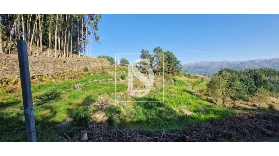 Terreno para Venda em Ruivães e Campos Foto 2