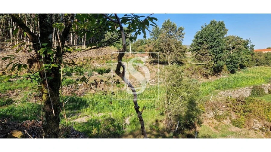Terreno para Venda em Ruivães e Campos Foto 6