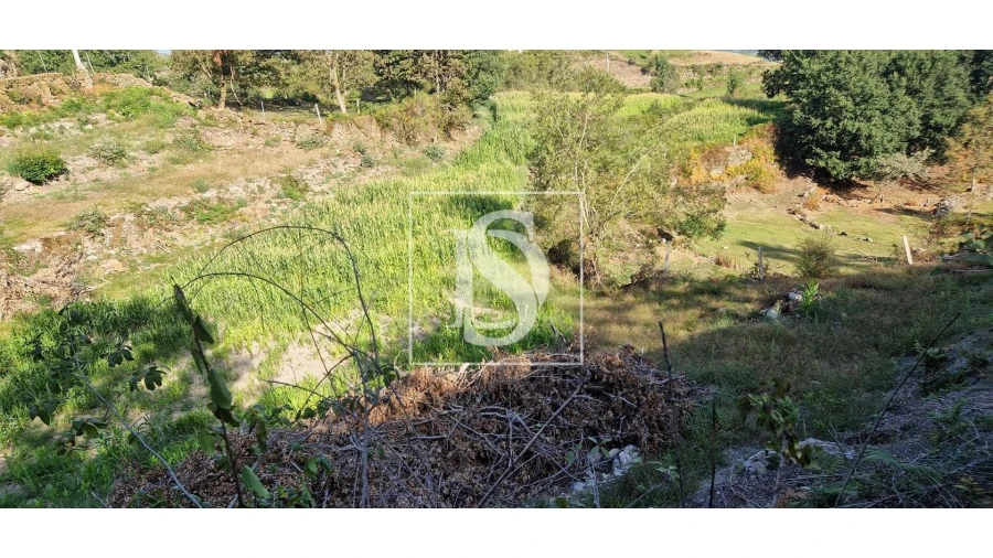 Terreno para Venda em Ruivães e Campos Foto 8