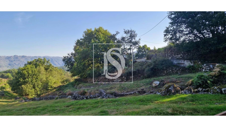 Terreno para Venda em Ruivães e Campos Foto 14