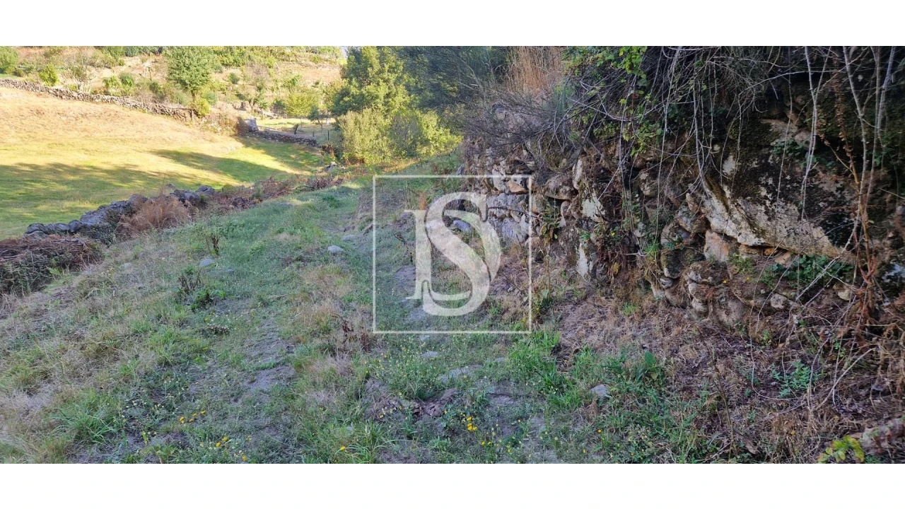 Terreno para Venda em Ruivães e Campos Foto 11