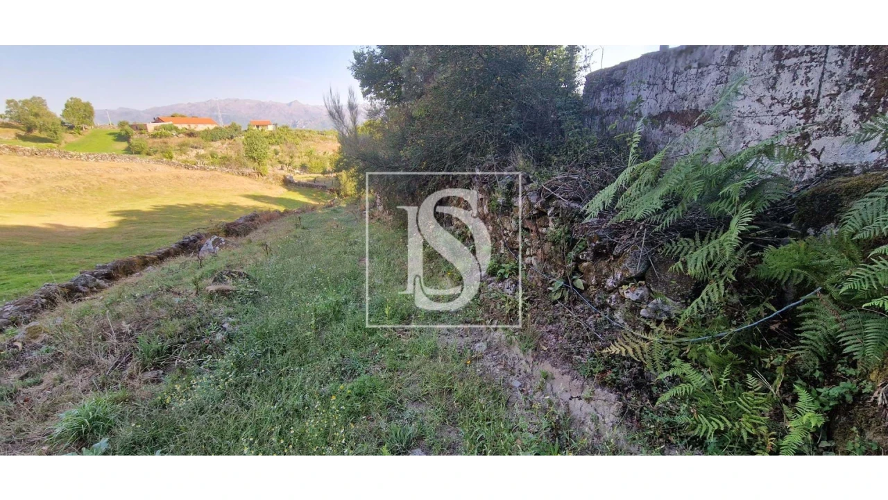 Terreno para Venda em Ruivães e Campos Foto 12