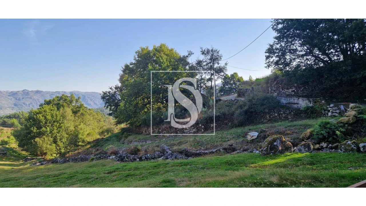 Terreno para Venda em Ruivães e Campos Foto 14