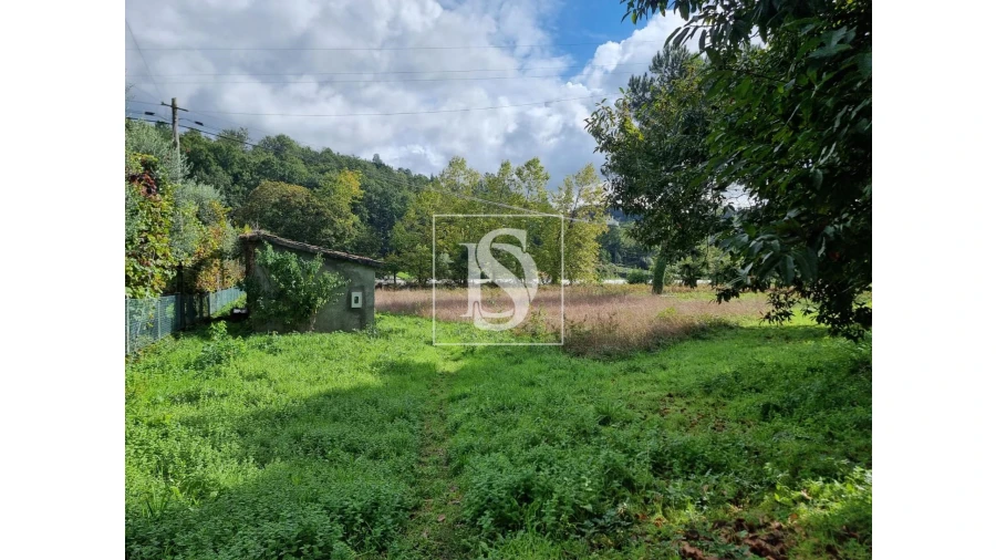 Terreno para Venda em Cantelães Foto 16