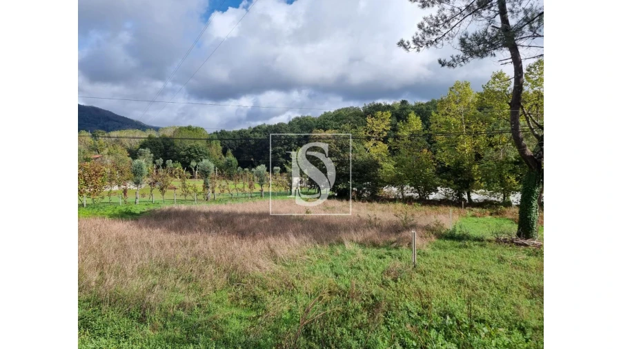 Terreno para Venda em Cantelães Foto 22