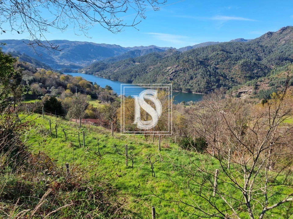 Terreno para Venda em Santa Clara de Louredo Foto 4