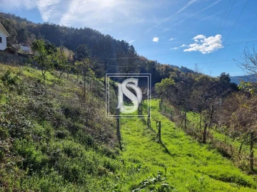 Terreno para Venda em Santa Clara de Louredo