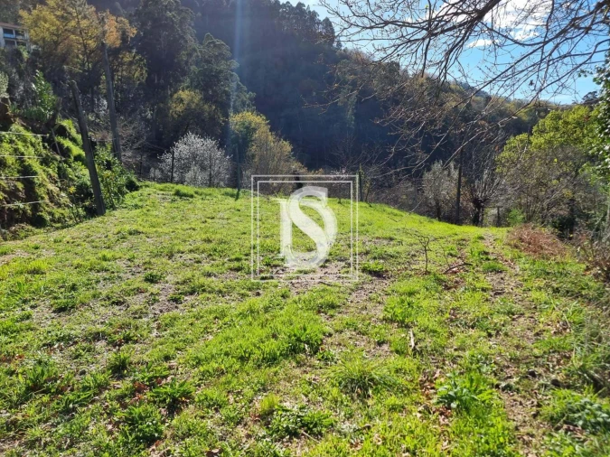 Terreno para Venda em Santa Clara de Louredo Foto 3