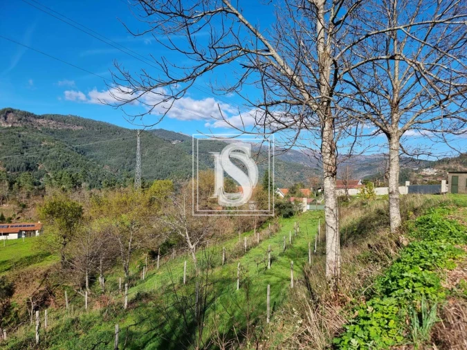 Terreno para Venda em Santa Clara de Louredo Foto 5