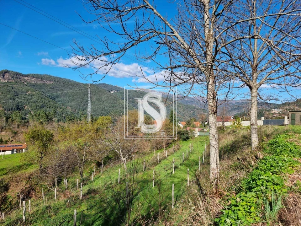 Terreno para Venda em Santa Clara de Louredo Foto 5