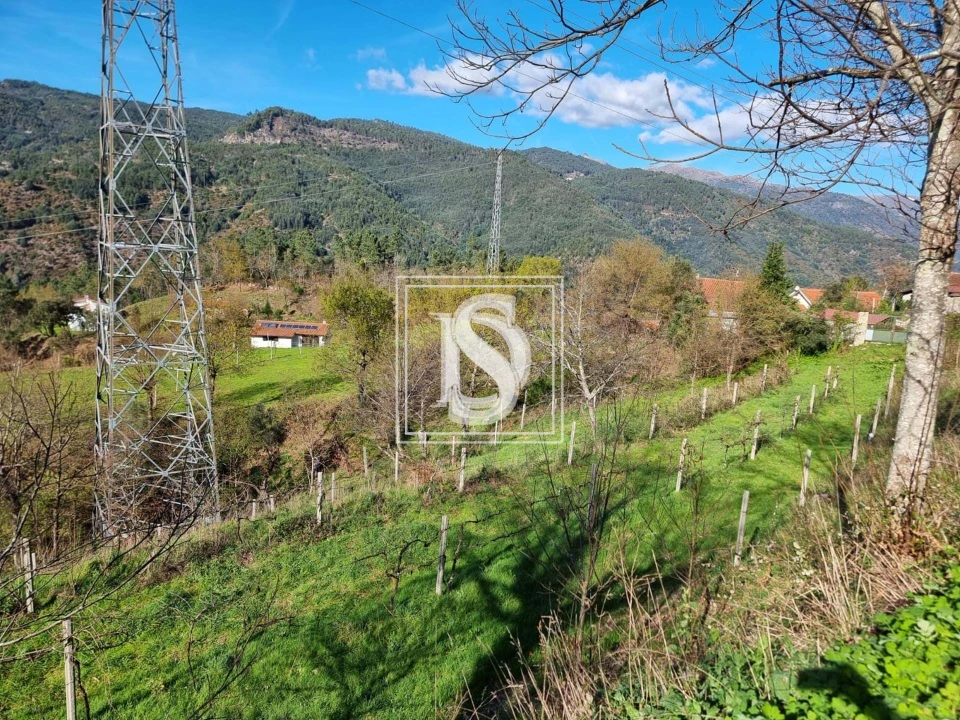 Terreno para Venda em Santa Clara de Louredo Foto 6