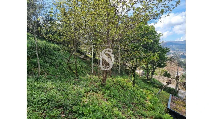 Moradia T3 para Venda em Parada do Bouro Foto 24