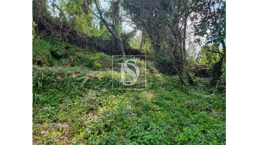 Moradia T3 para Venda em Parada do Bouro Foto 17