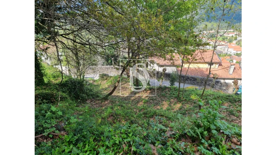 Moradia T3 para Venda em Parada do Bouro Foto 19