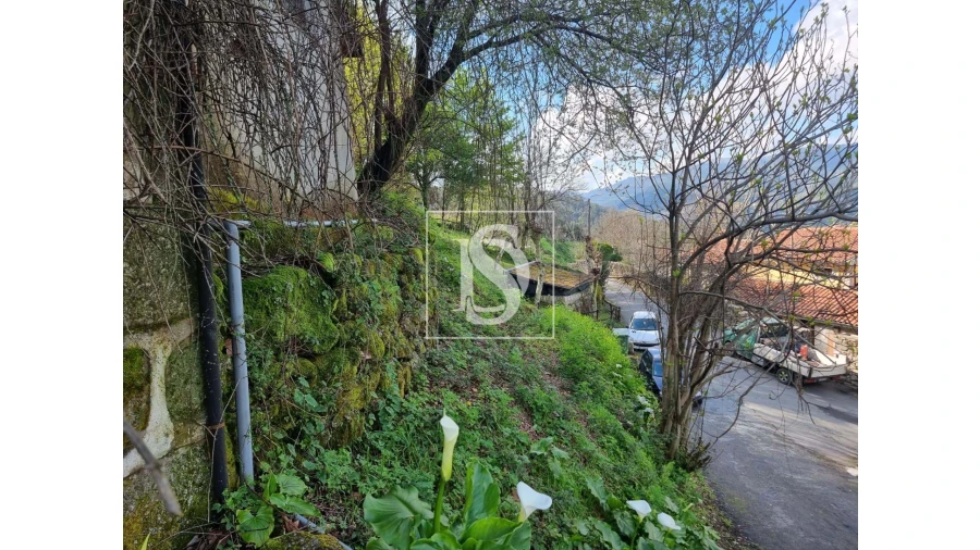 Moradia T3 para Venda em Parada do Bouro Foto 5