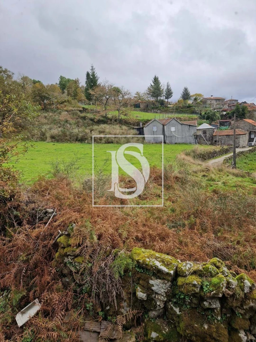 Moradia T2 para Venda em Ruivães e Campos Foto 40