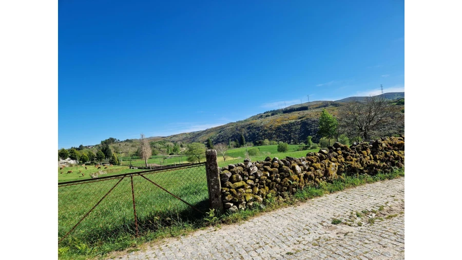 Moradia T2 para Venda em Ruivães e Campos Foto 41