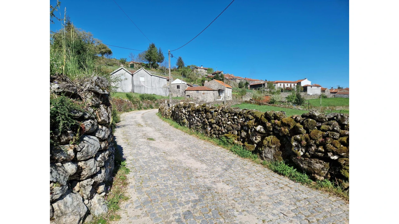 Moradia T2 para Venda em Ruivães e Campos Foto 14