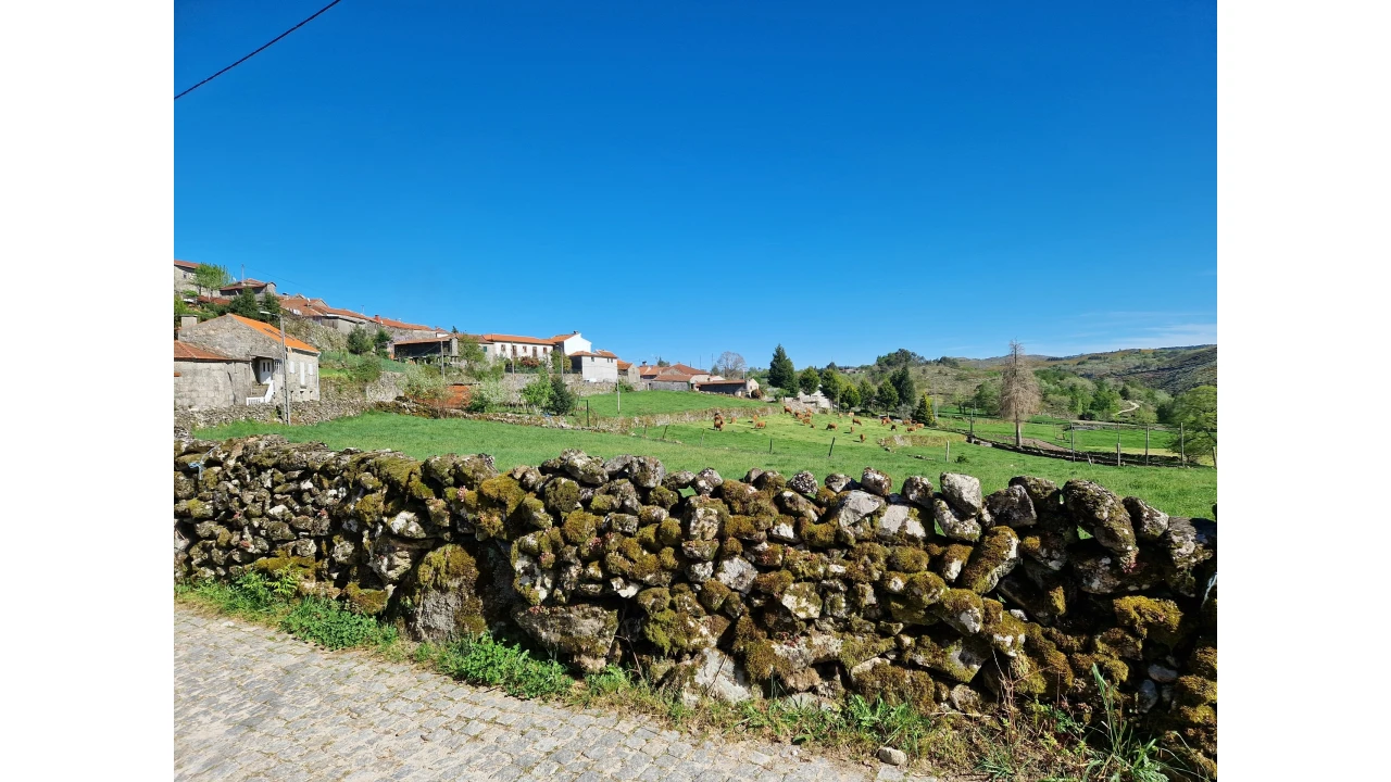 Moradia T2 para Venda em Ruivães e Campos Foto 13