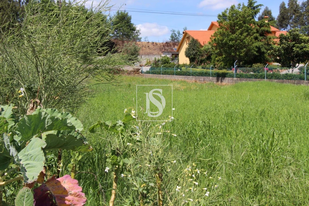 Terreno para Venda em Mortágua, Vale de Remígio, Cortegaça e Almaça Foto 9