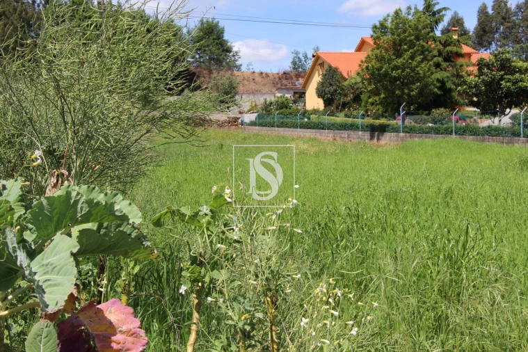 Terreno para Venda em Mortágua, Vale de Remígio, Cortegaça e Almaça Foto 9