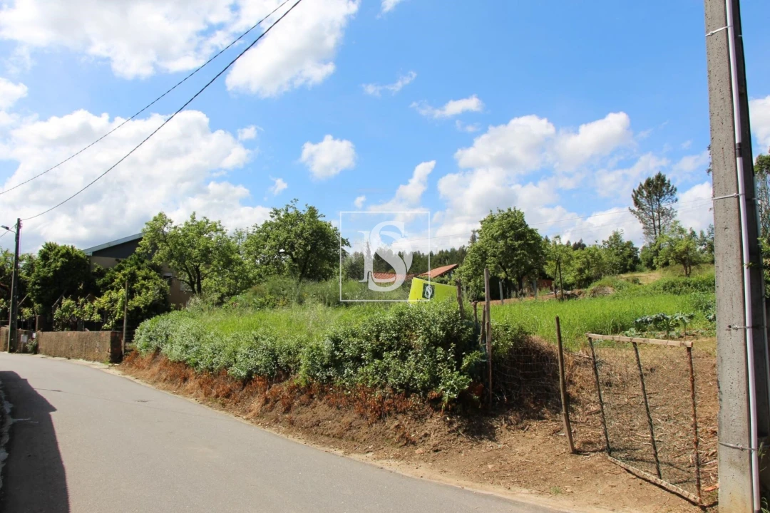 Terreno para Venda em Mortágua, Vale de Remígio, Cortegaça e Almaça Foto 4