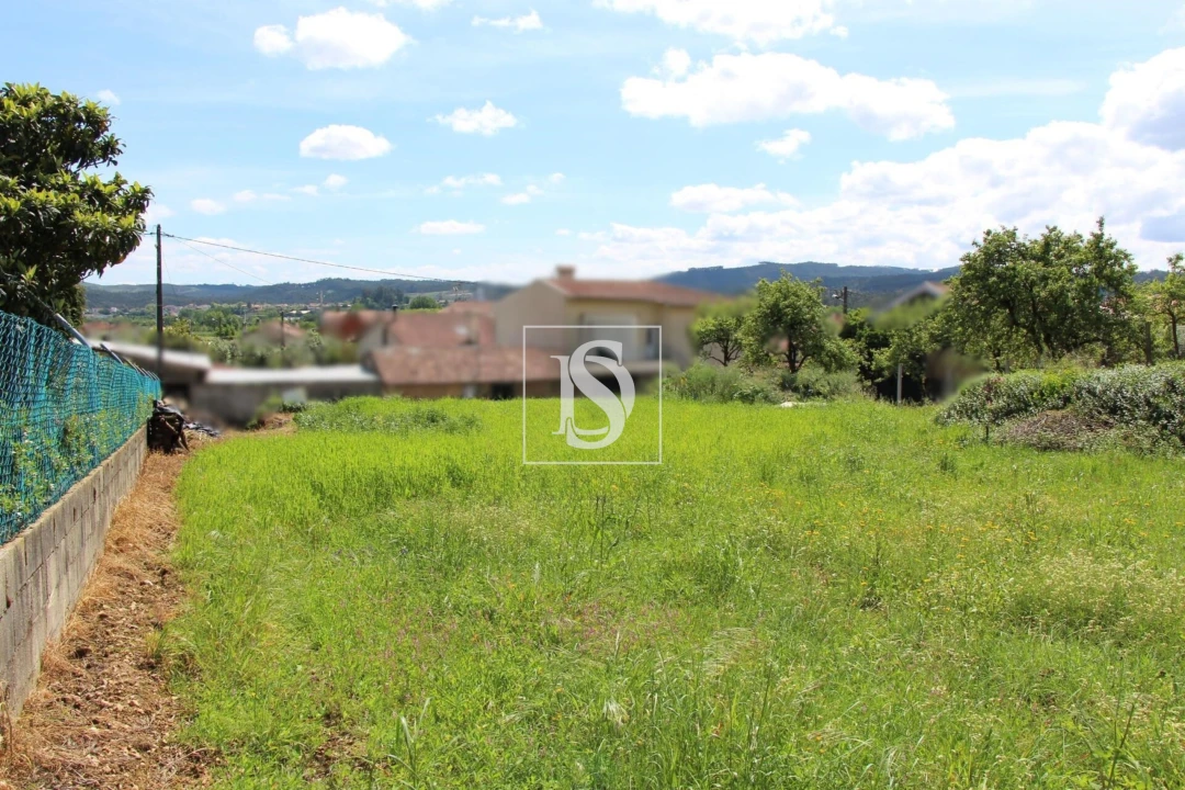 Terreno para Venda em Mortágua, Vale de Remígio, Cortegaça e Almaça Foto 3