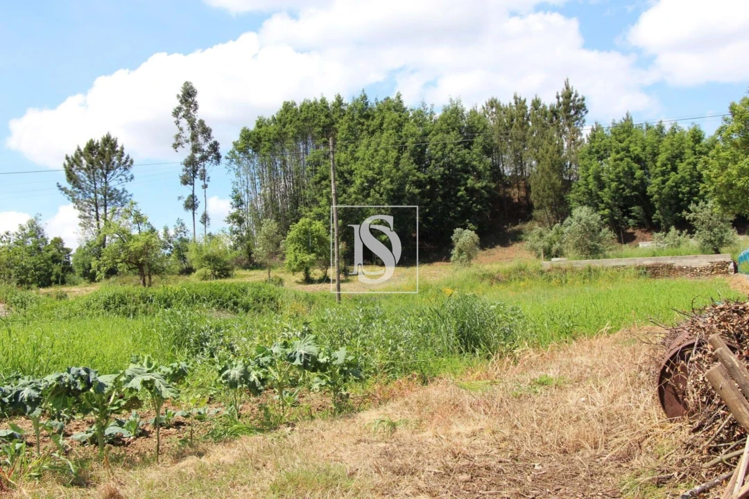 Terreno para Venda em Mortágua, Vale de Remígio, Cortegaça e Almaça Foto 7