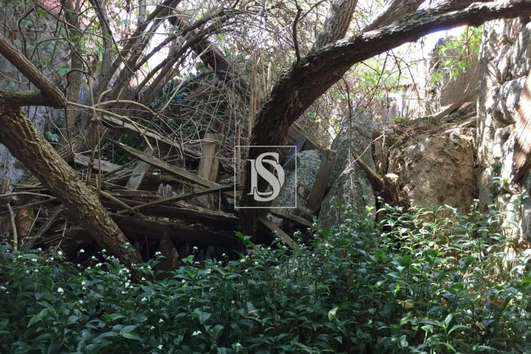 Moradia para Venda em Santos Evos Foto 7