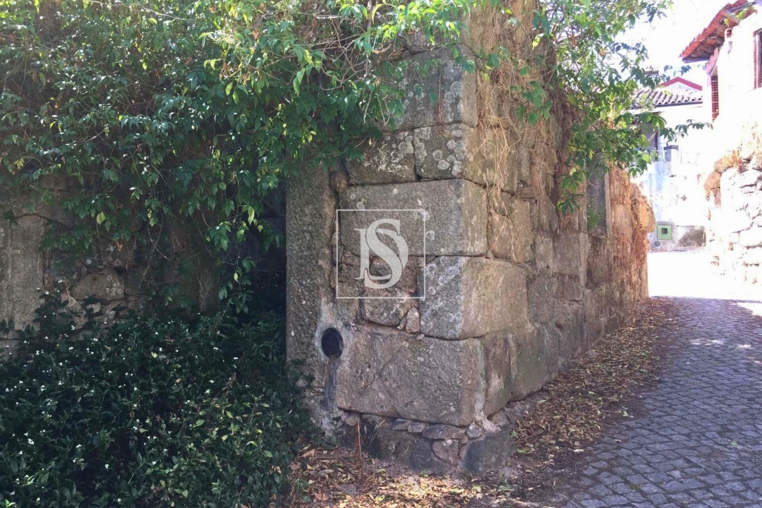 Moradia para Venda em Santos Evos Foto 3