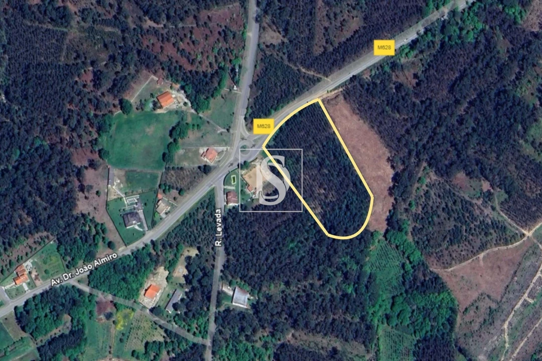 Terreno para Venda em Campo de Besteiros Foto 1