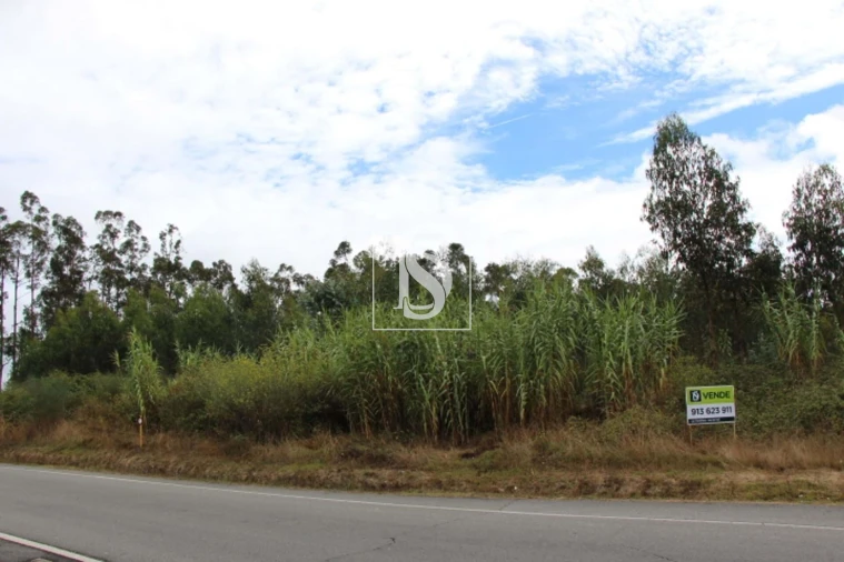 Terreno para Venda em Campo de Besteiros Foto 2