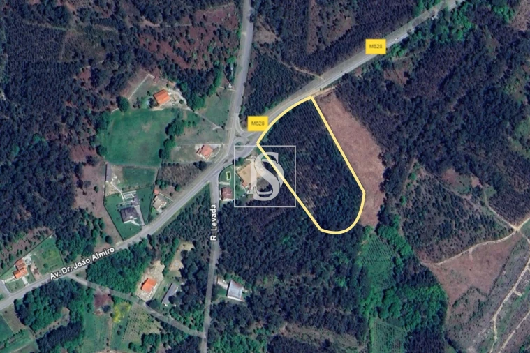 Terreno para Venda em Campo de Besteiros Foto 1