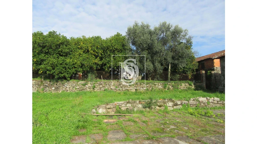 Quinta para Venda em Campo de Besteiros Foto 4