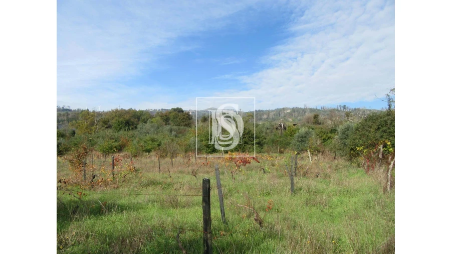 Quinta para Venda em Campo de Besteiros Foto 8