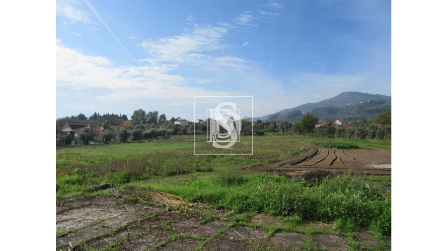 Quinta para Venda em Campo de Besteiros Foto 5