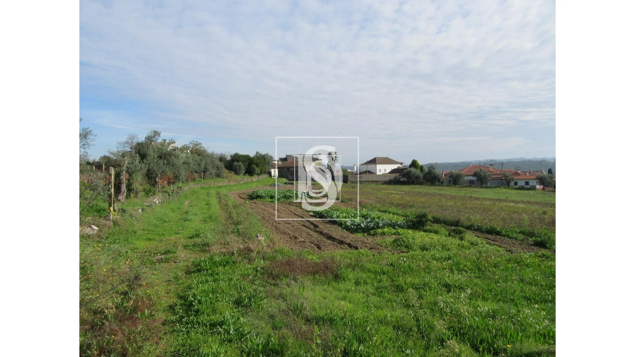 Quinta para Venda em Campo de Besteiros Foto 9