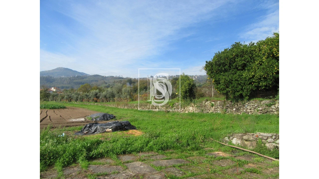 Quinta para Venda em Campo de Besteiros Foto 6