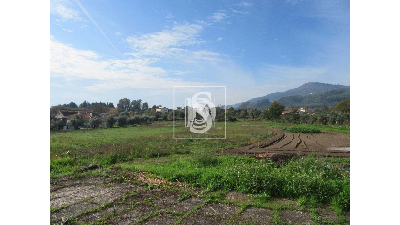 Quinta para Venda em Campo de Besteiros Foto 5