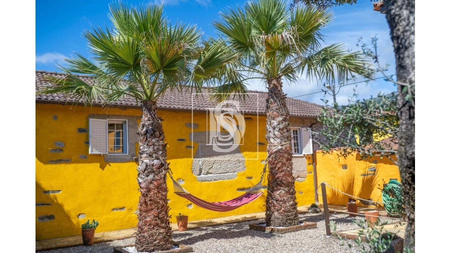 Quinta T8 para Venda em Castelões Foto 4