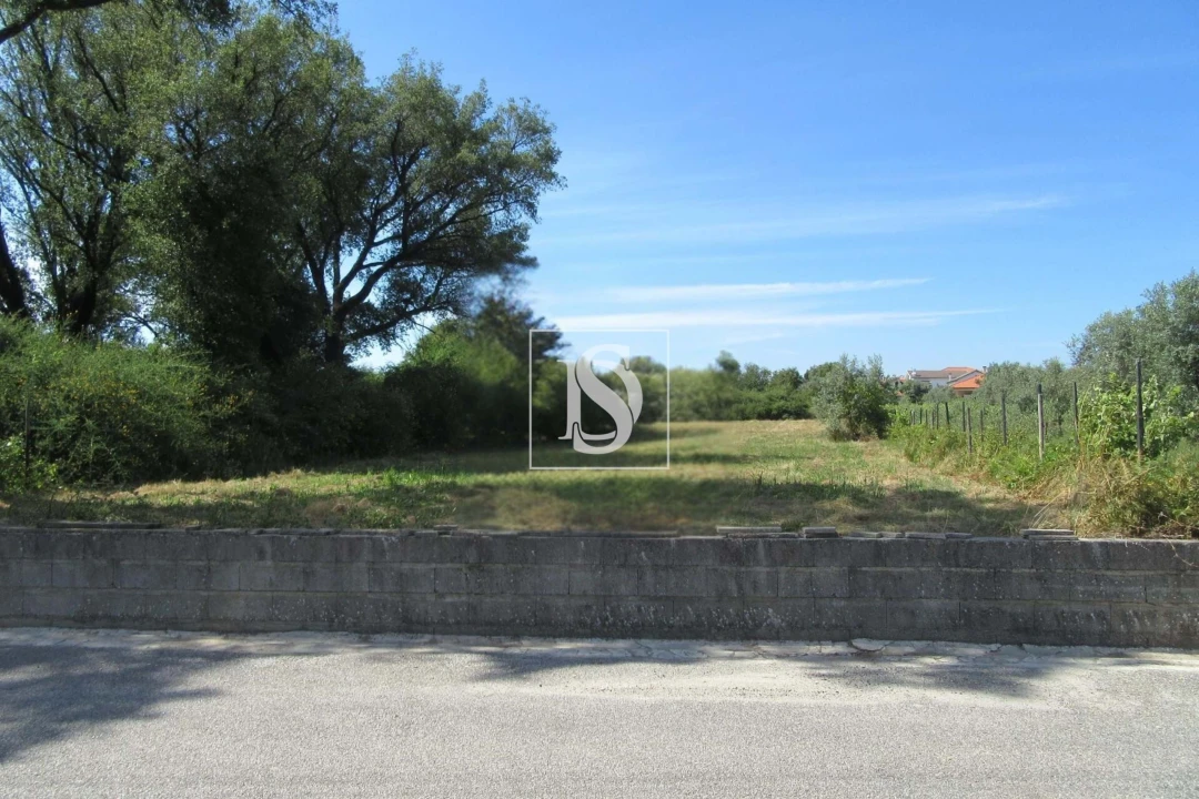 Terreno para Venda em Tonda Foto 4