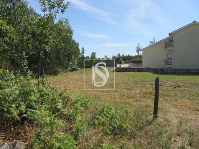 Terreno para Venda em Tonda Foto 5