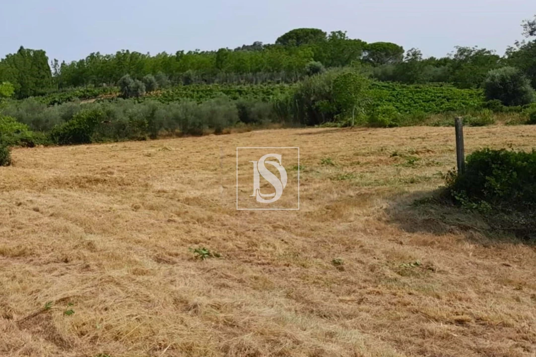 Terreno para Venda em Mealhada, Ventosa do Bairro e Antes Foto 2