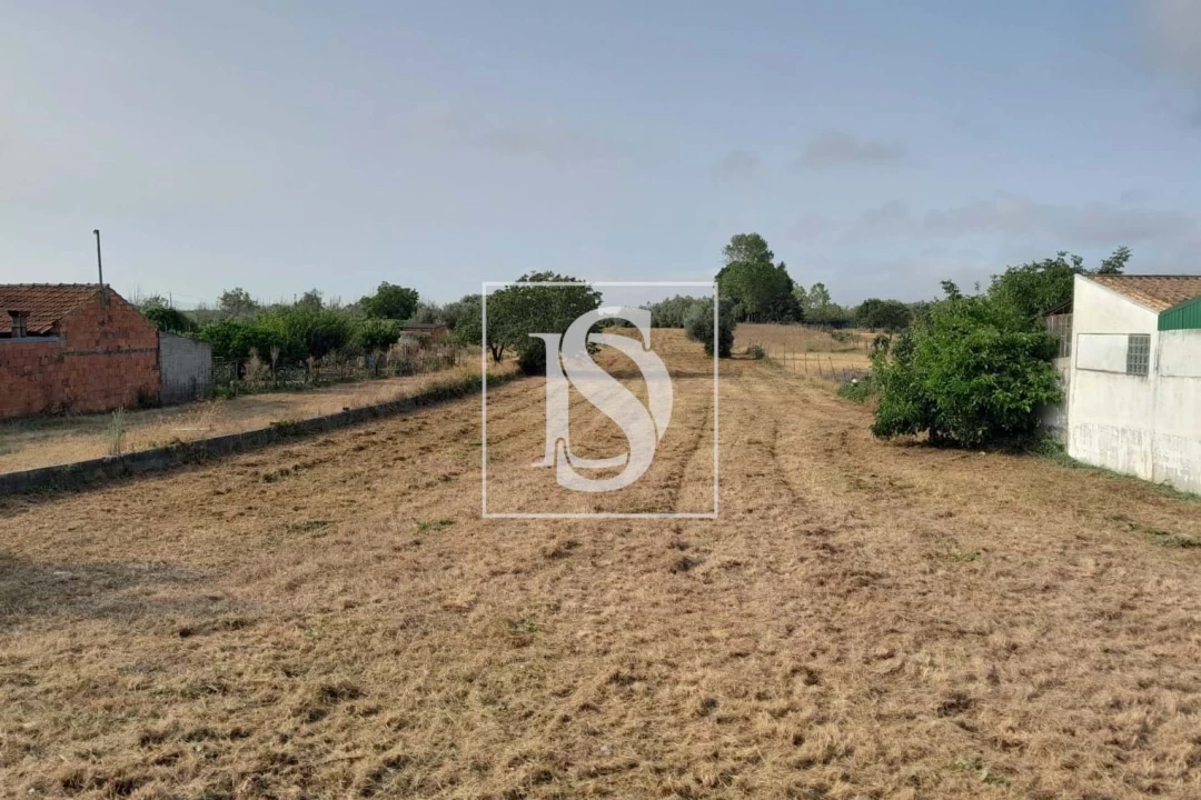 Terreno para Venda em Mealhada, Ventosa do Bairro e Antes Foto 1