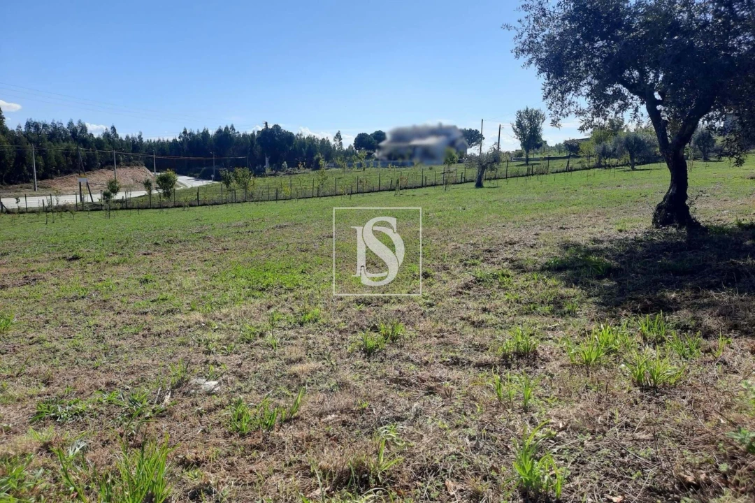 Terreno para Venda em Mortágua, Vale de Remígio, Cortegaça e Almaça Foto 4