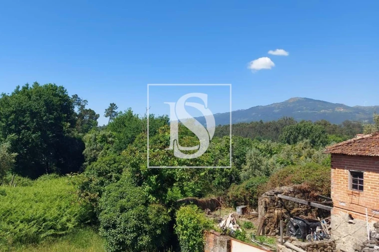 Moradia T3 para Venda em Campo de Besteiros Foto 6